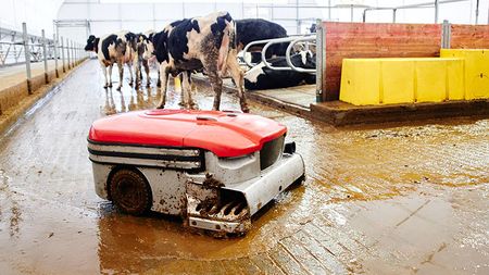 Digital Cowshed Cleaning Robot